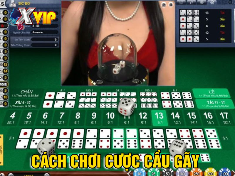 Phương pháp chơi tài xỉu online cược cầu gãy